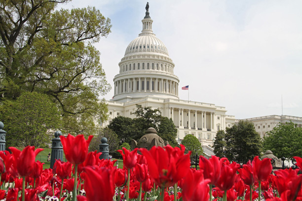 2018 Spring NFRW Board of Directors Meeting 2018 Spring NFRW Board of Directors Meeting